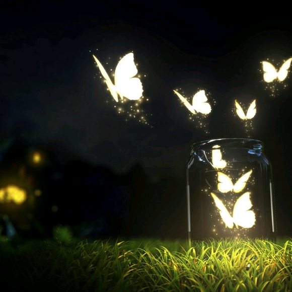 Meet your Posher, Leslie - Picture 1 of 1